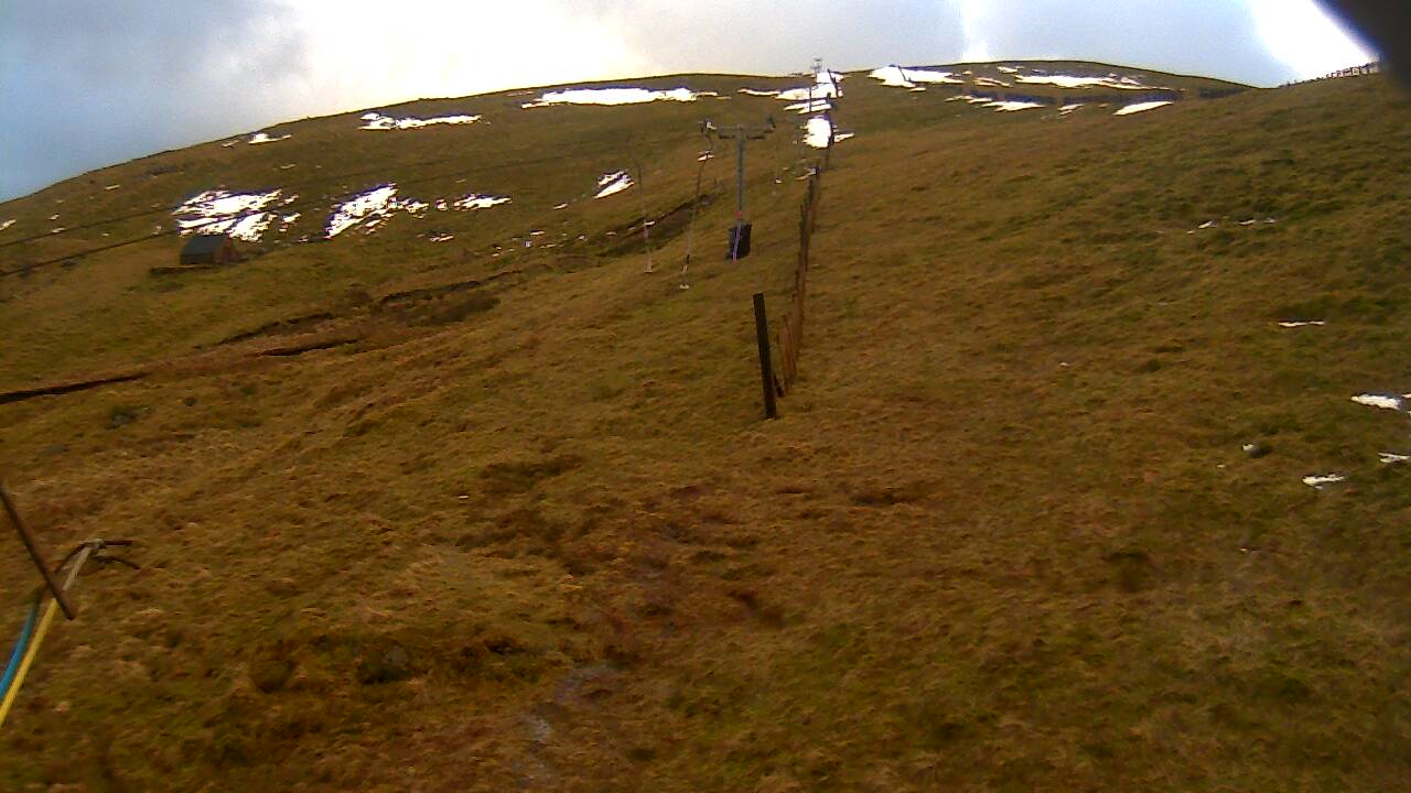 Image from 2022/02/16 for Tow Hut