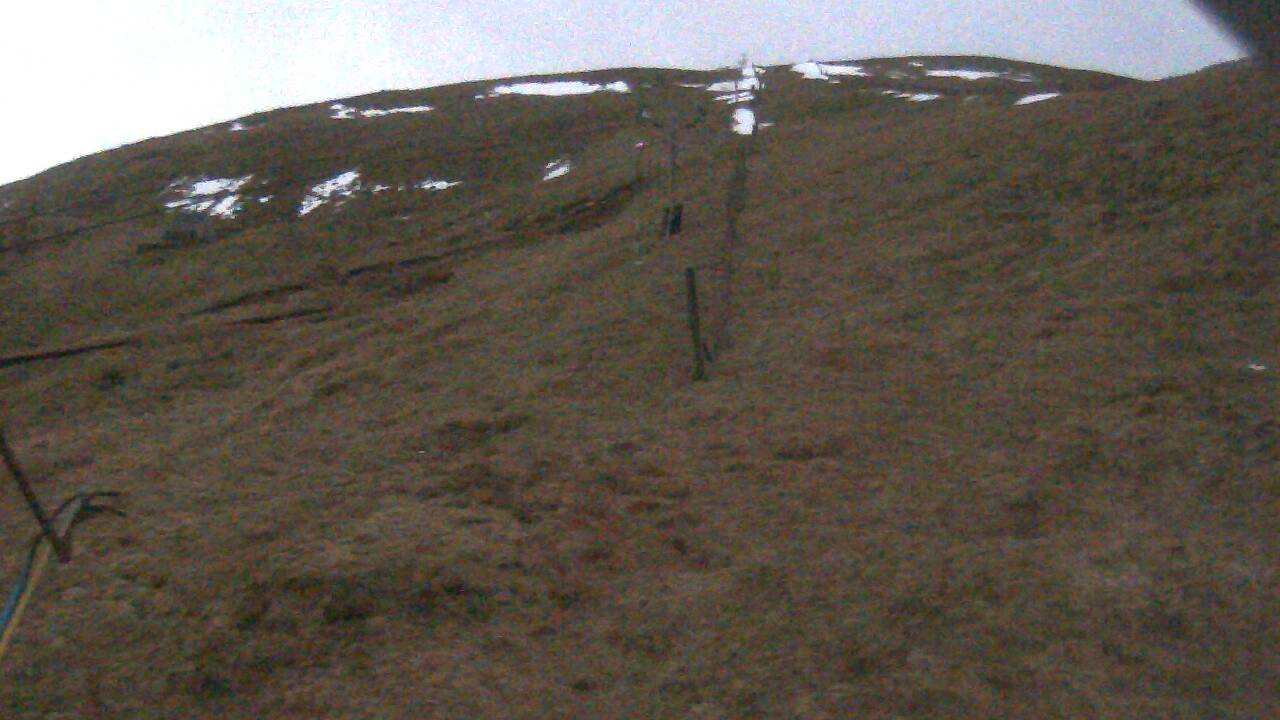 Image from 2022/02/17 for Tow Hut