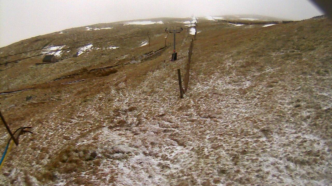 Image from 2022/02/17 for Tow Hut