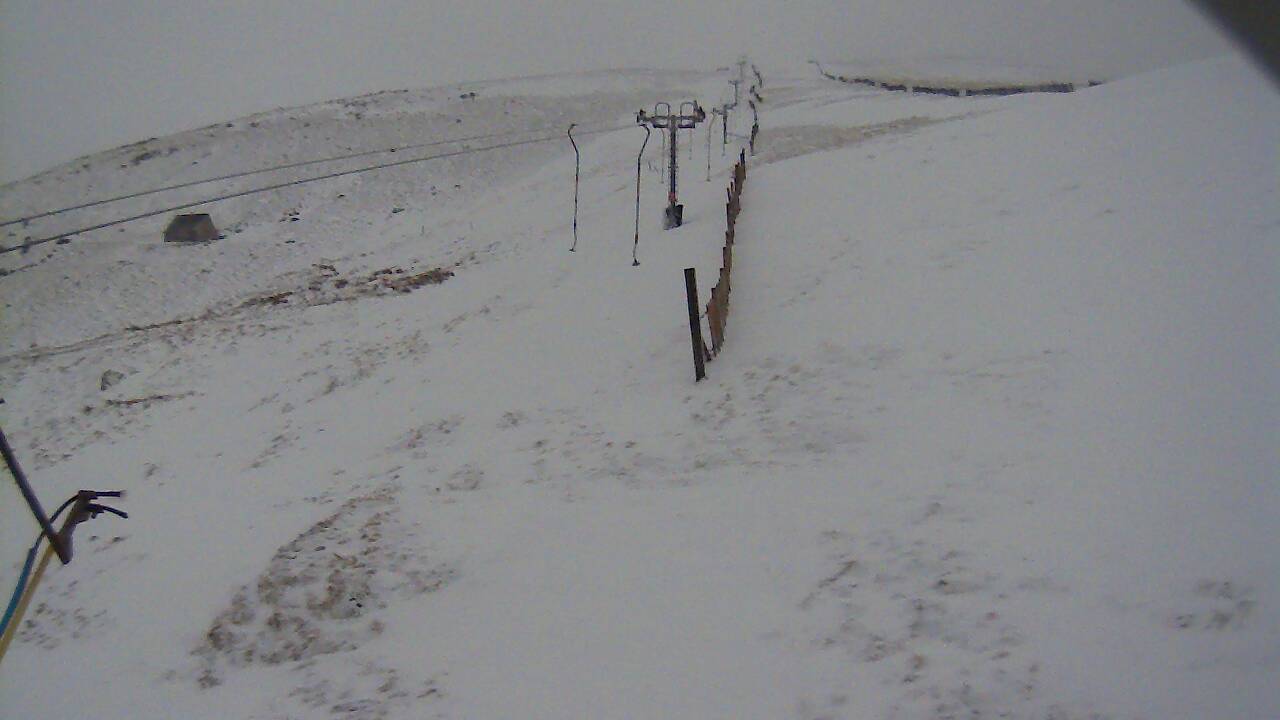 Image from 2022/02/19 for Tow Hut