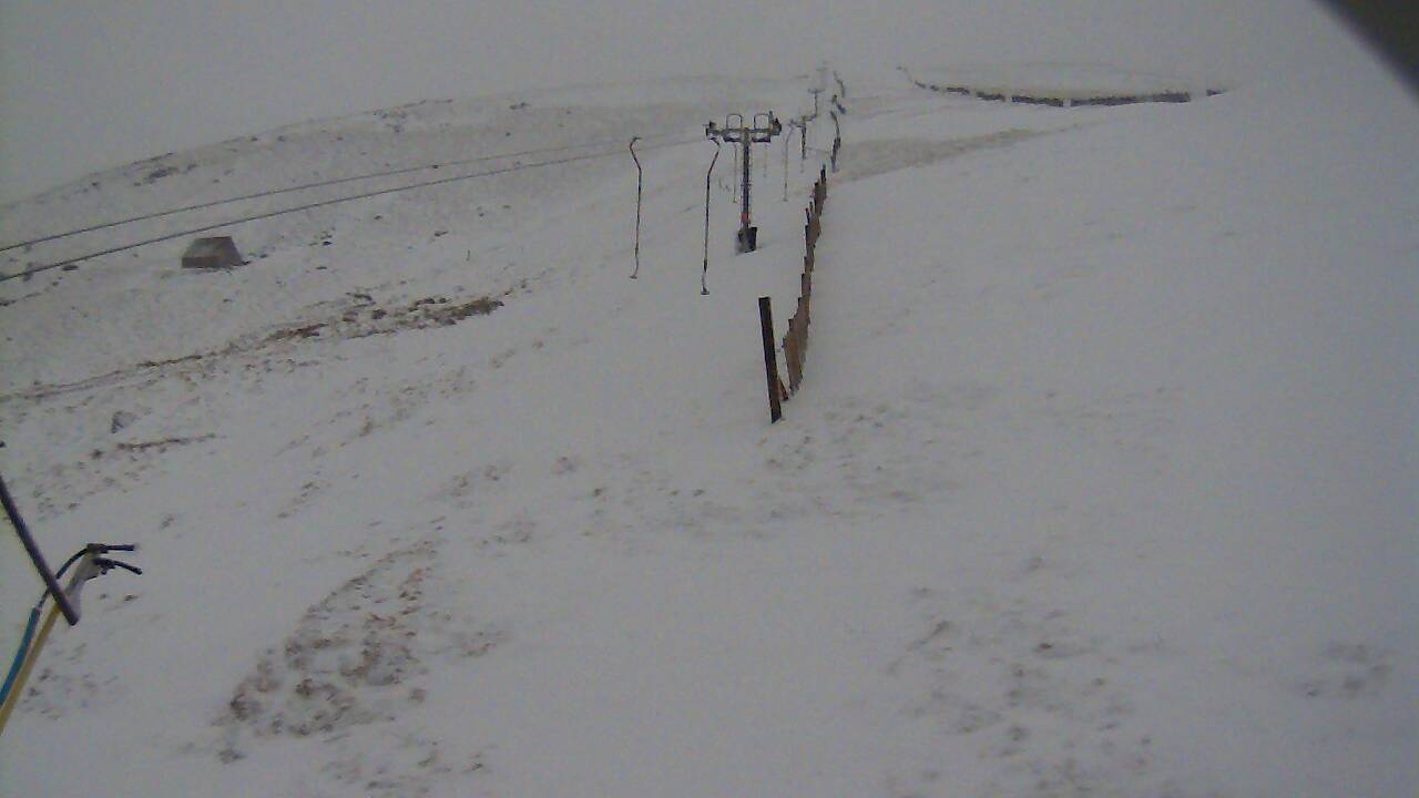 Image from 2022/02/19 for Tow Hut