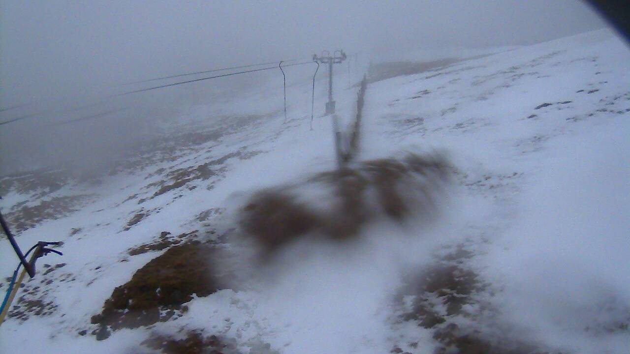 Image from 2022/02/20 for Tow Hut