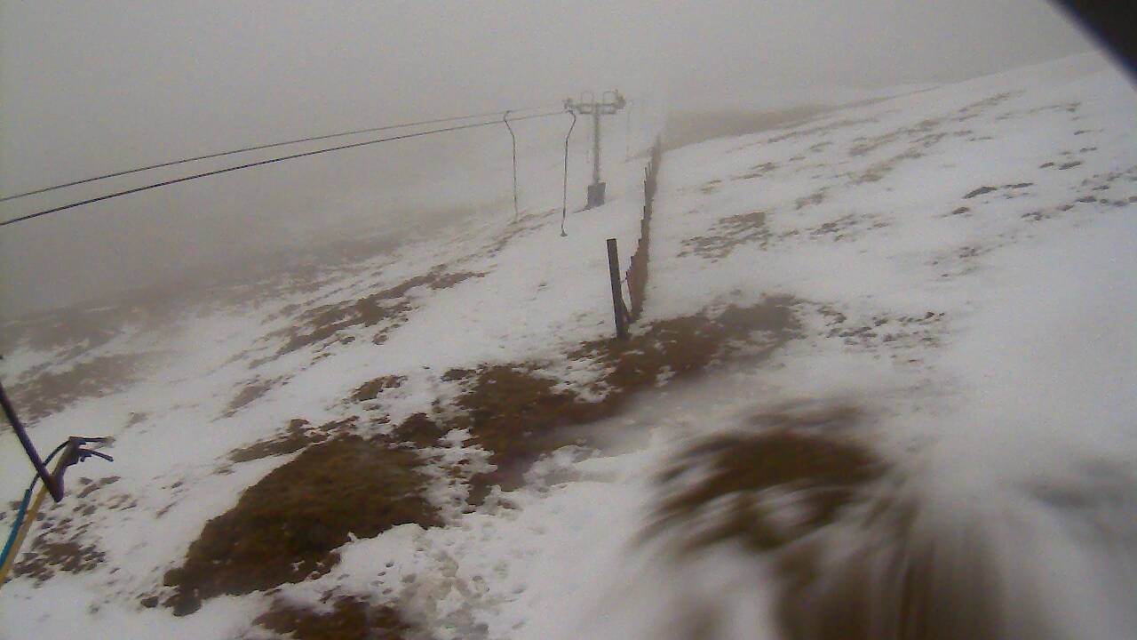 Image from 2022/02/20 for Tow Hut