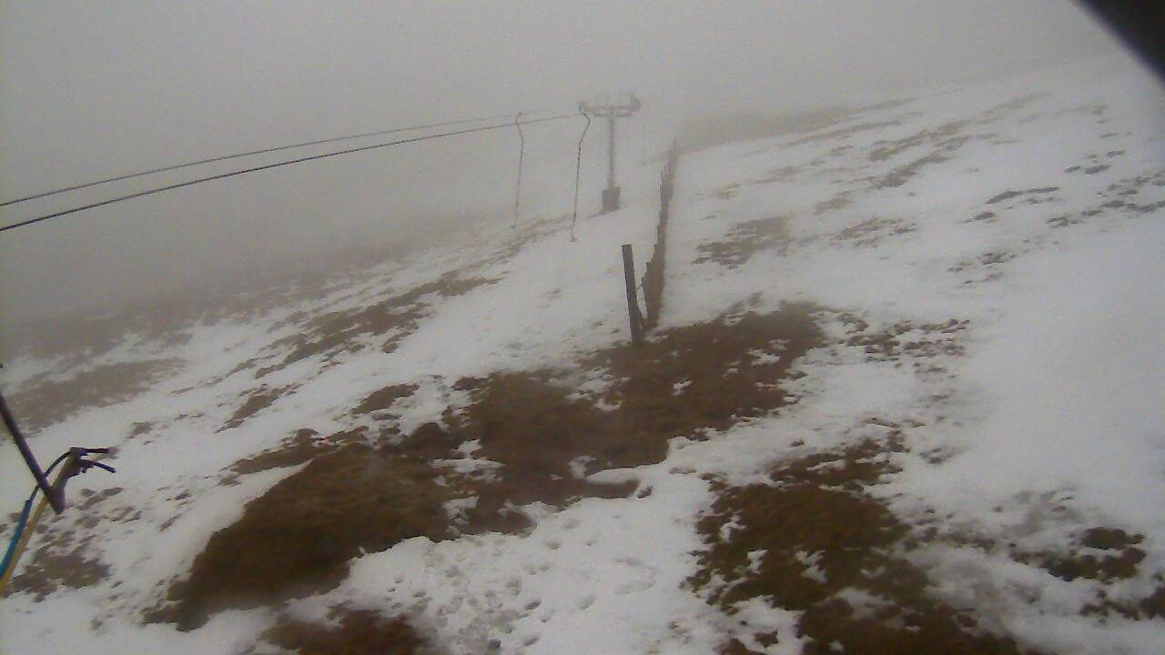 Image from 2022/02/20 for Tow Hut