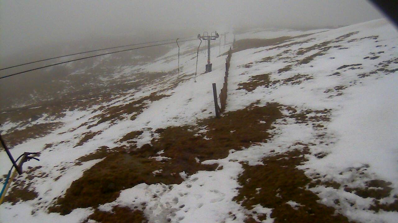 Image from 2022/02/20 for Tow Hut