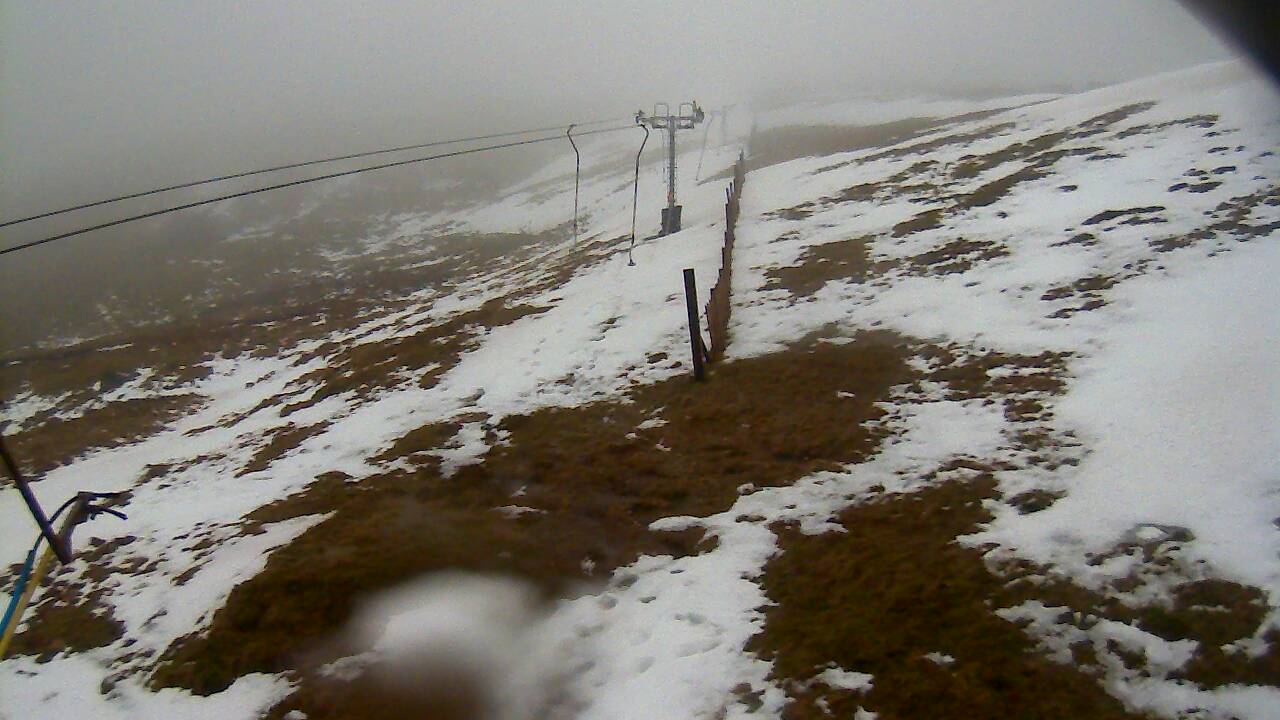 Image from 2022/02/20 for Tow Hut