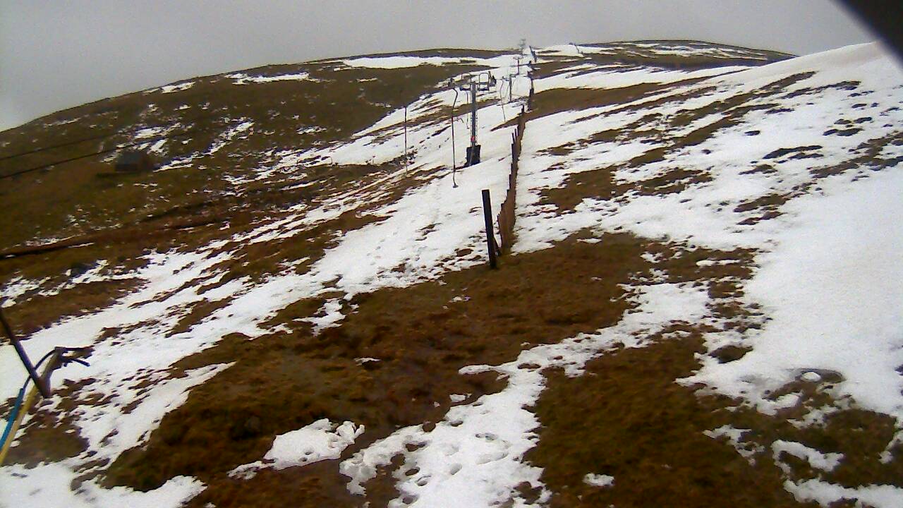 Image from 2022/02/20 for Tow Hut