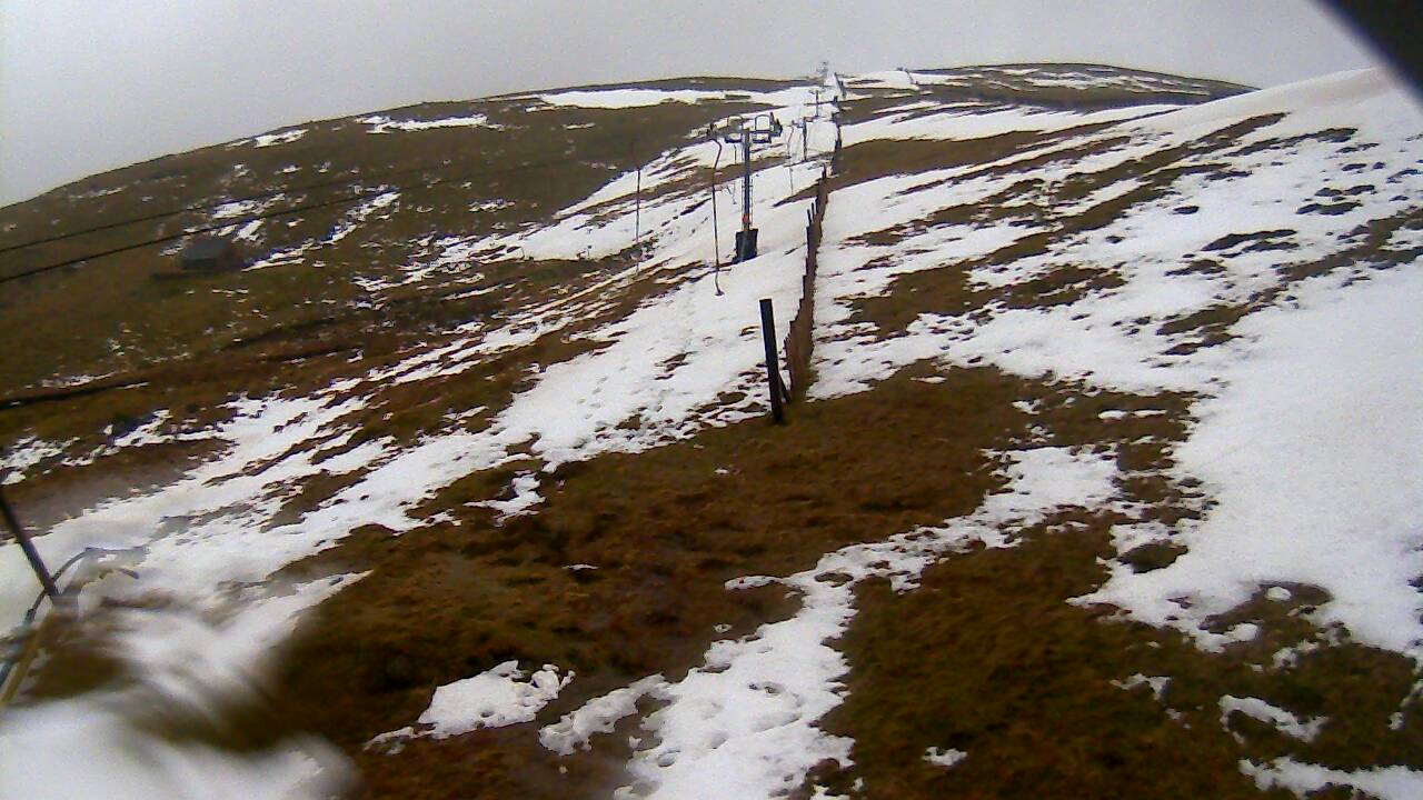 Image from 2022/02/20 for Tow Hut