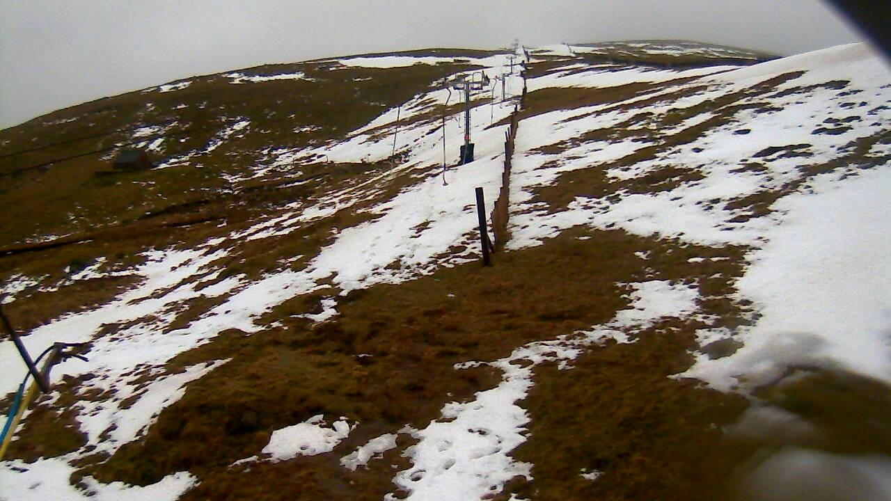 Image from 2022/02/20 for Tow Hut