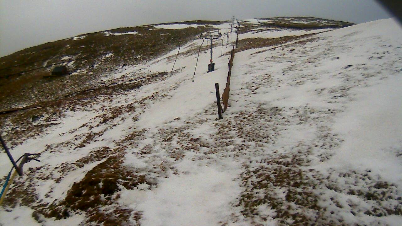 Image from 2022/02/21 for Tow Hut