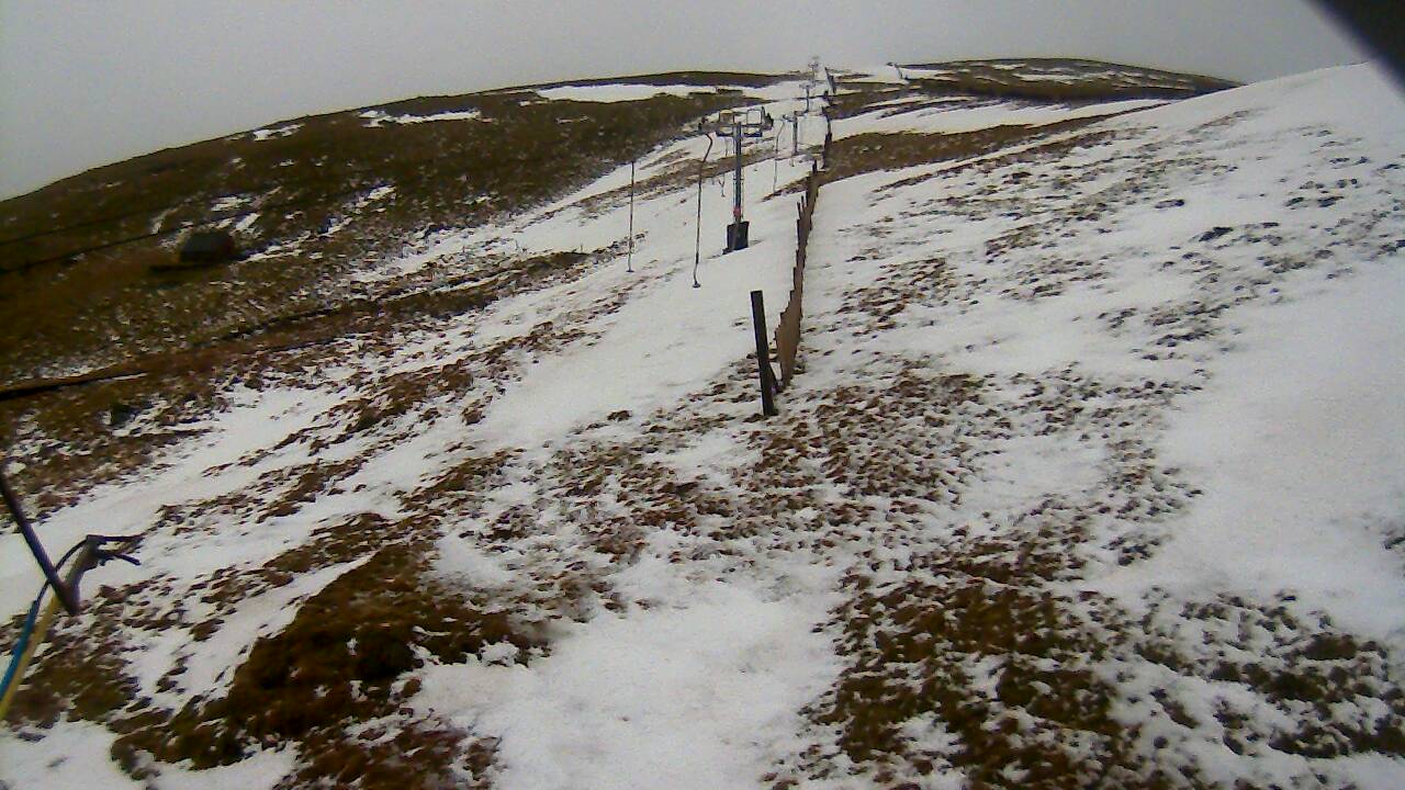 Image from 2022/02/21 for Tow Hut