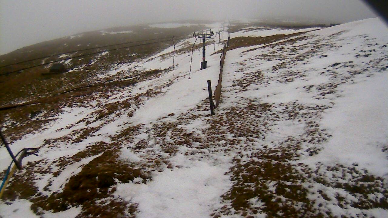 Image from 2022/02/21 for Tow Hut