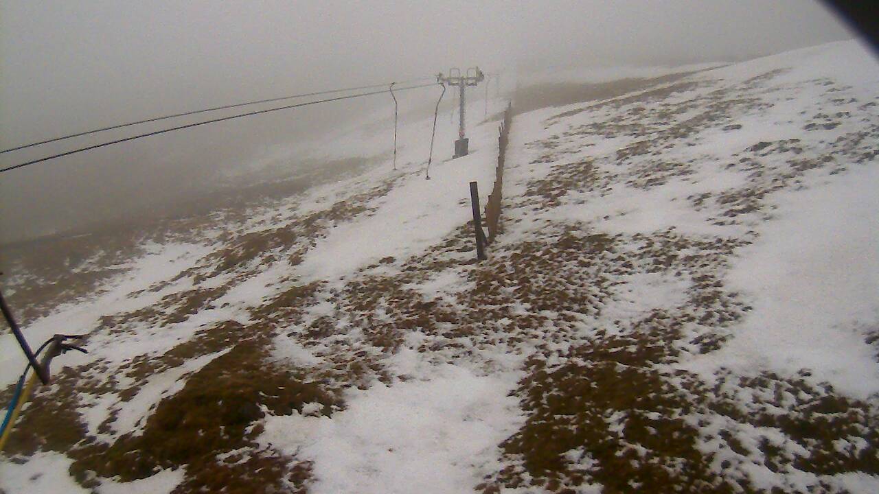 Image from 2022/02/21 for Tow Hut