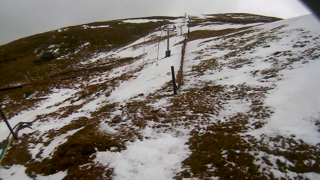 Image from 2022/02/21 for Tow Hut