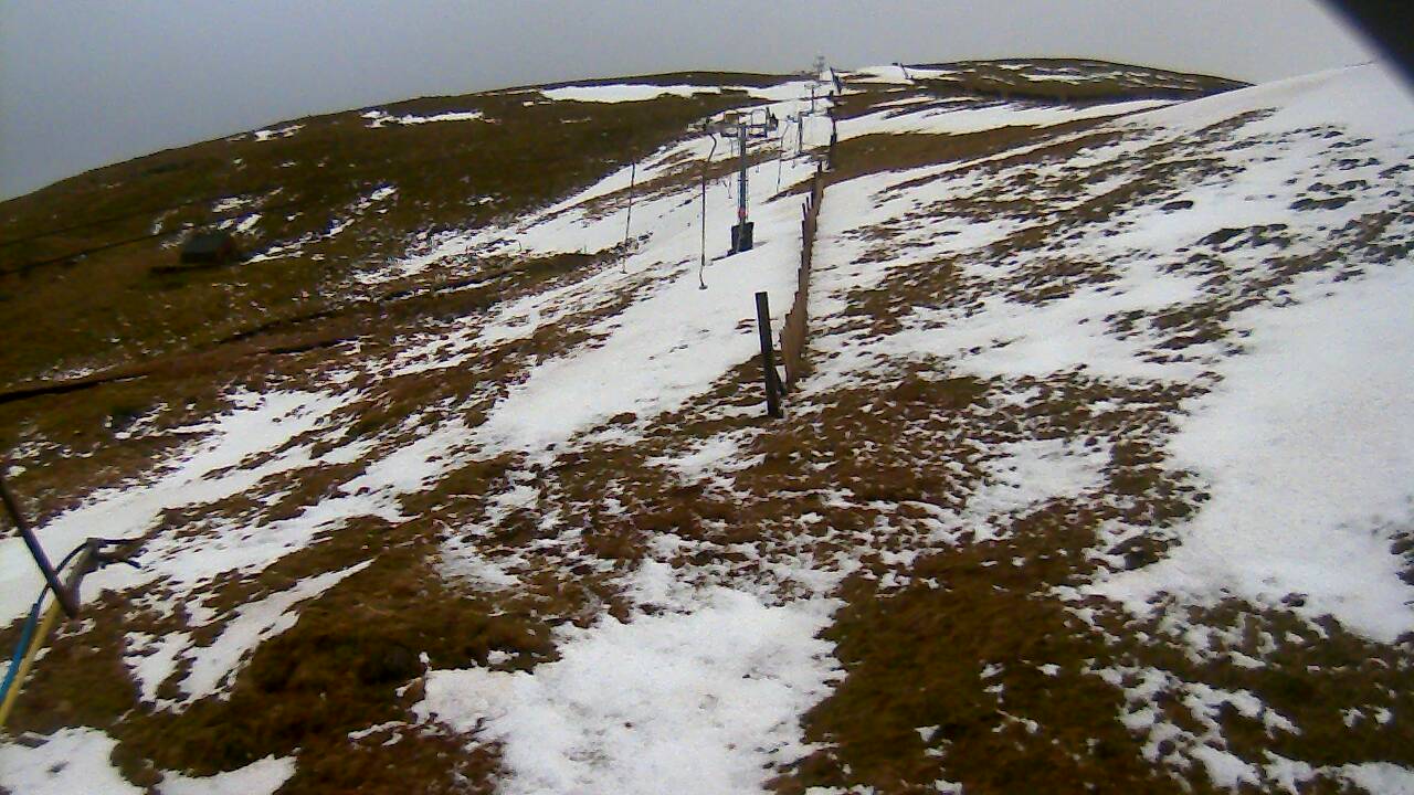 Image from 2022/02/21 for Tow Hut