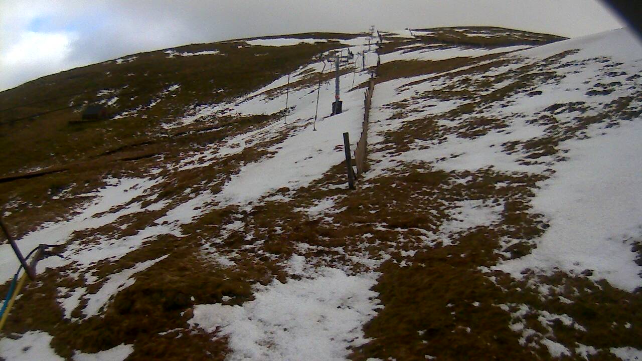 Image from 2022/02/21 for Tow Hut