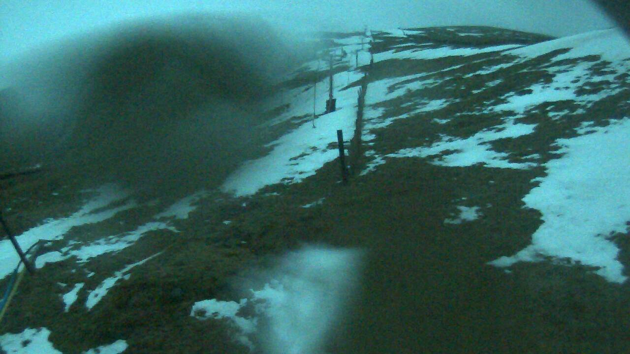 Image from 2022/02/22 for Tow Hut