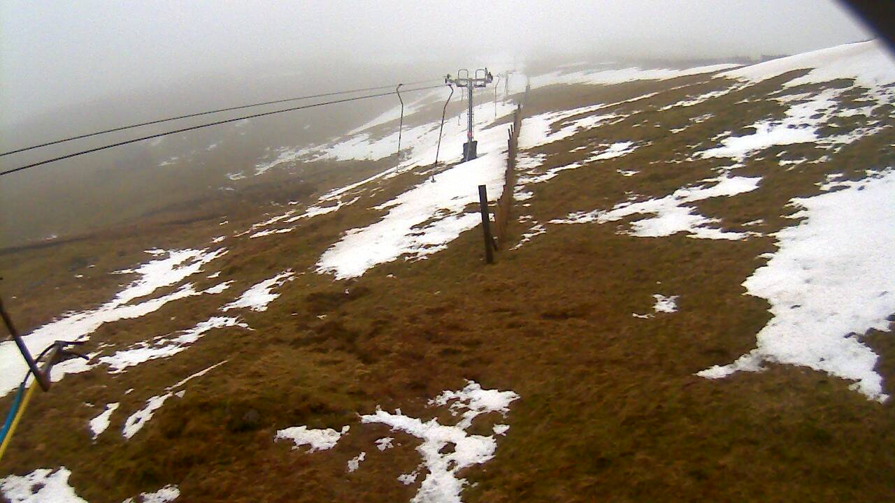 Image from 2022/02/22 for Tow Hut