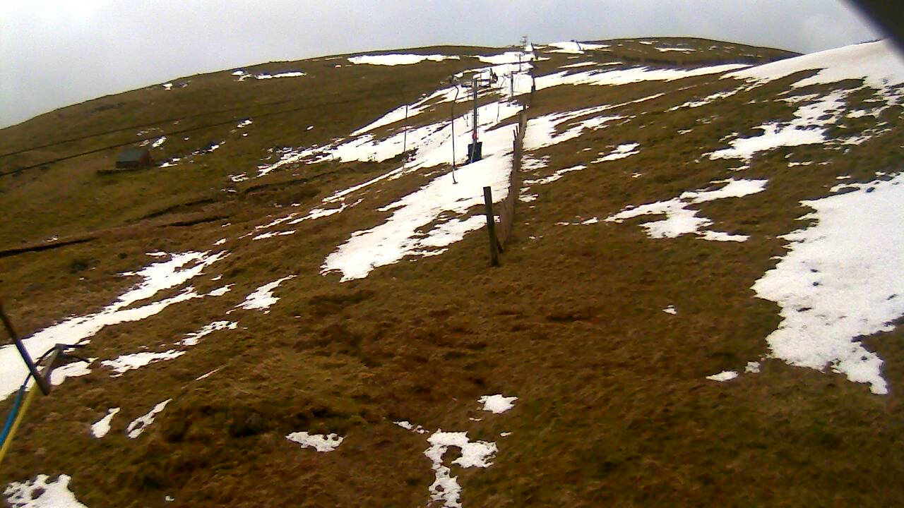 Image from 2022/02/22 for Tow Hut