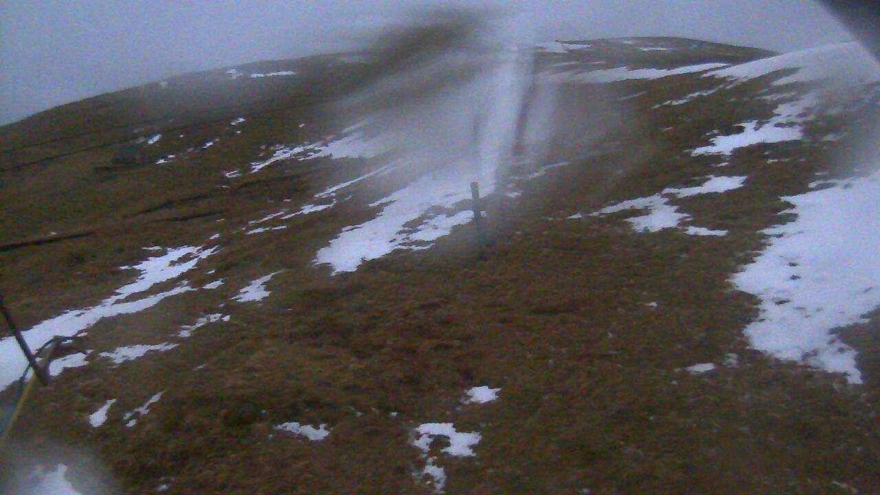 Image from 2022/02/23 for Tow Hut