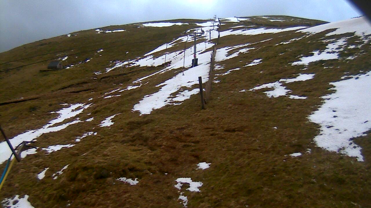 Image from 2022/02/23 for Tow Hut