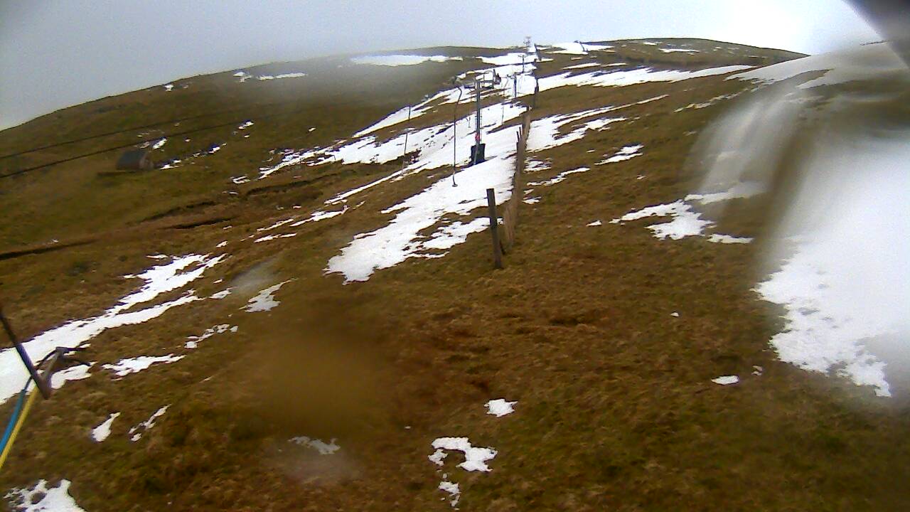 Image from 2022/02/23 for Tow Hut