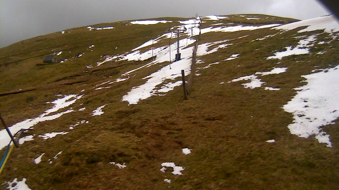 Image from 2022/02/23 for Tow Hut