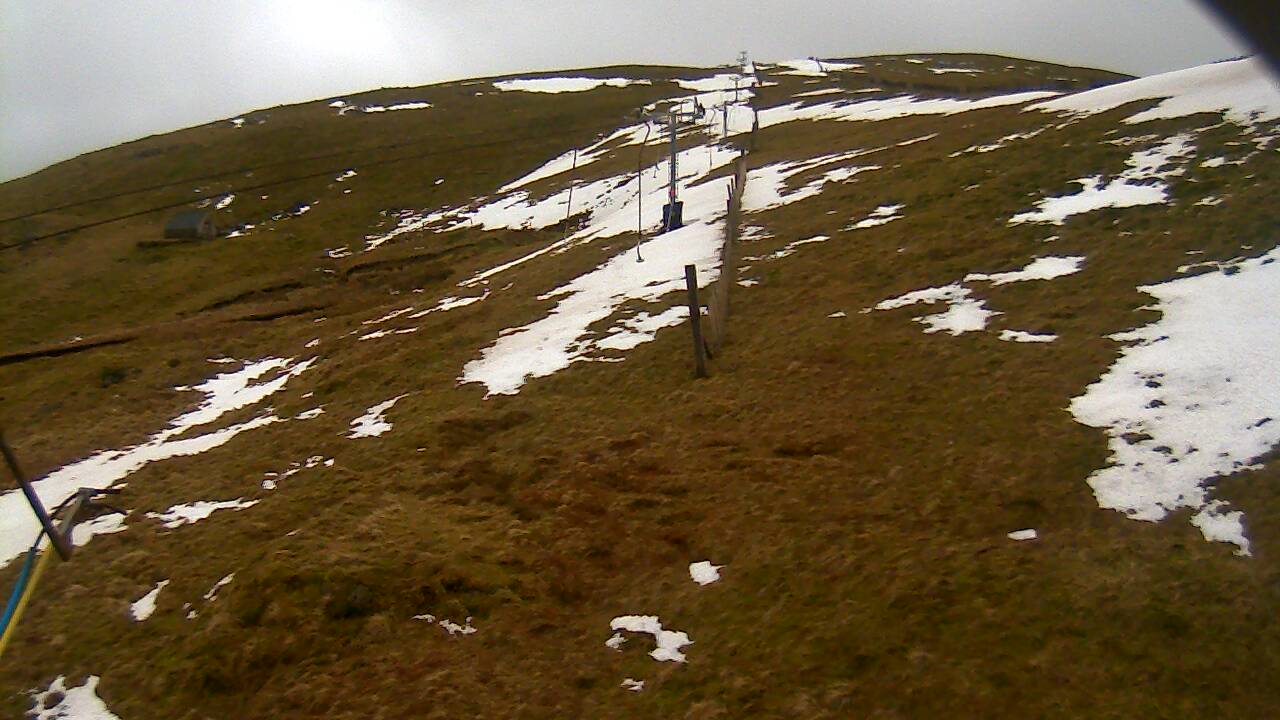 Image from 2022/02/23 for Tow Hut