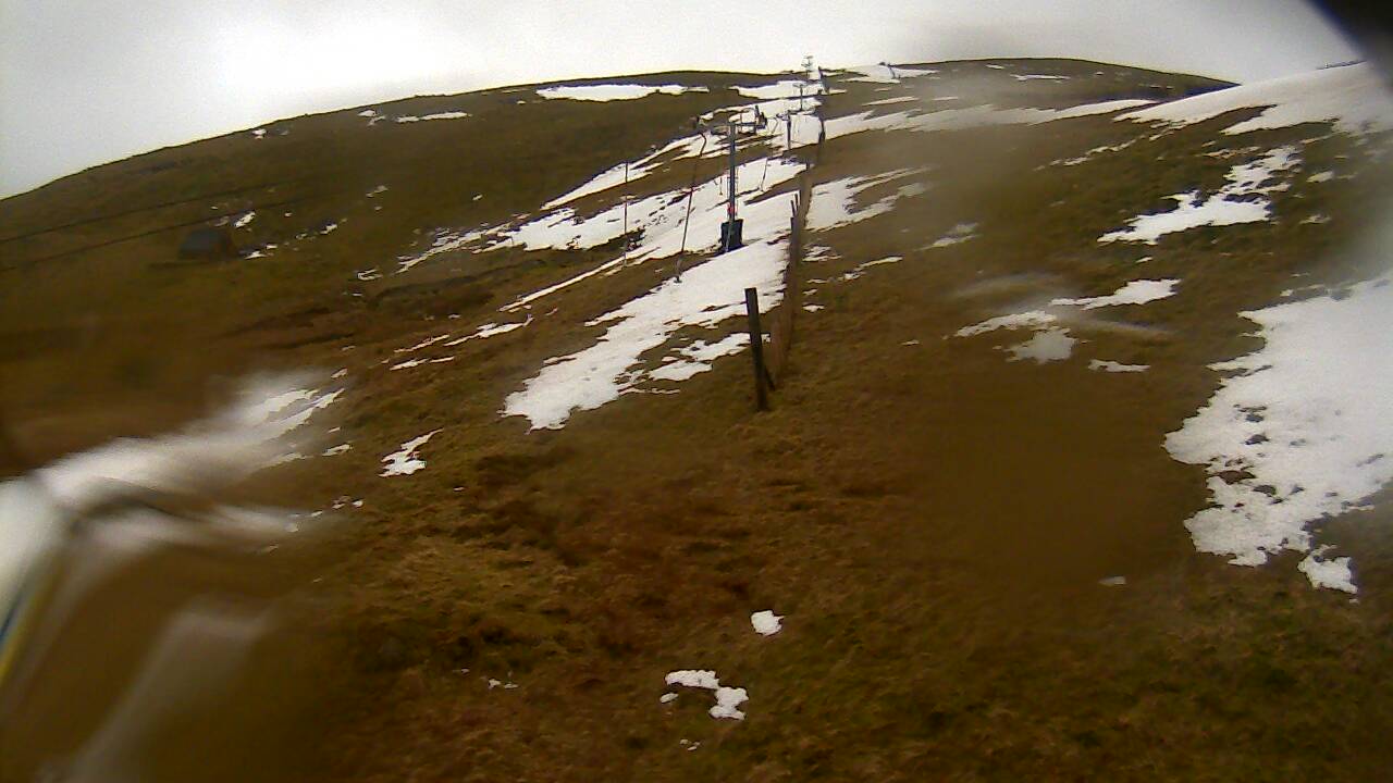 Image from 2022/02/23 for Tow Hut