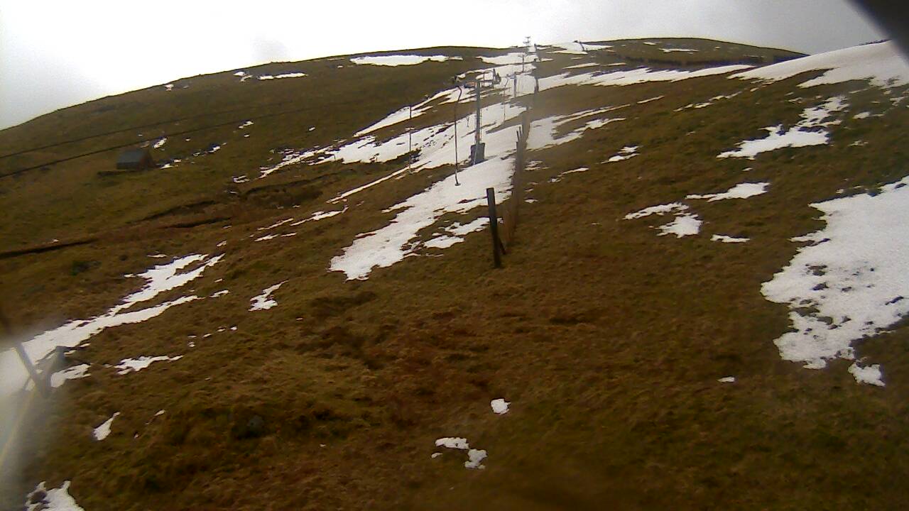 Image from 2022/02/23 for Tow Hut