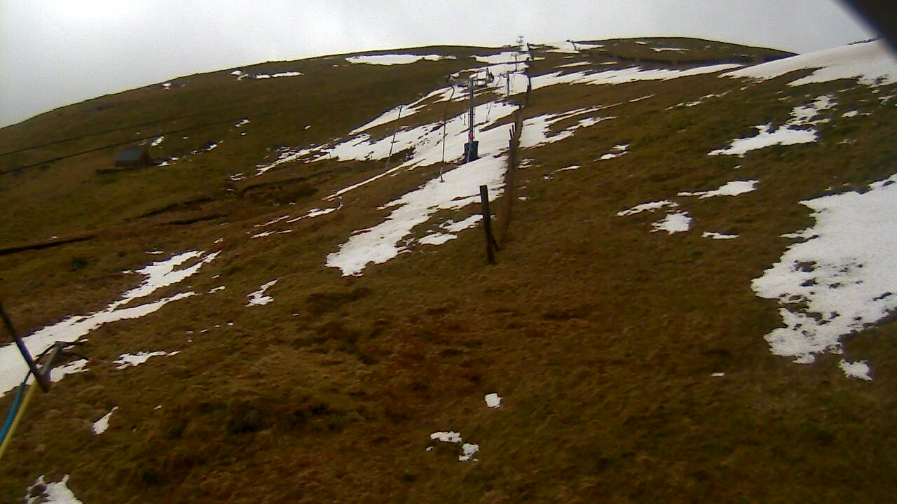 Image from 2022/02/23 for Tow Hut