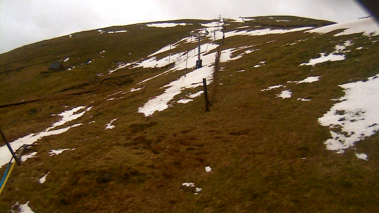 Image from 2022/02/23 for Tow Hut