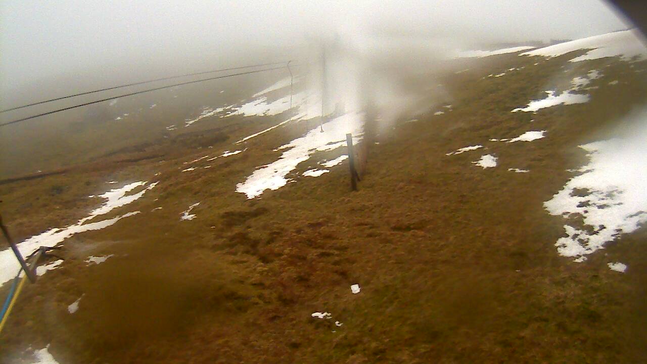 Image from 2022/02/23 for Tow Hut