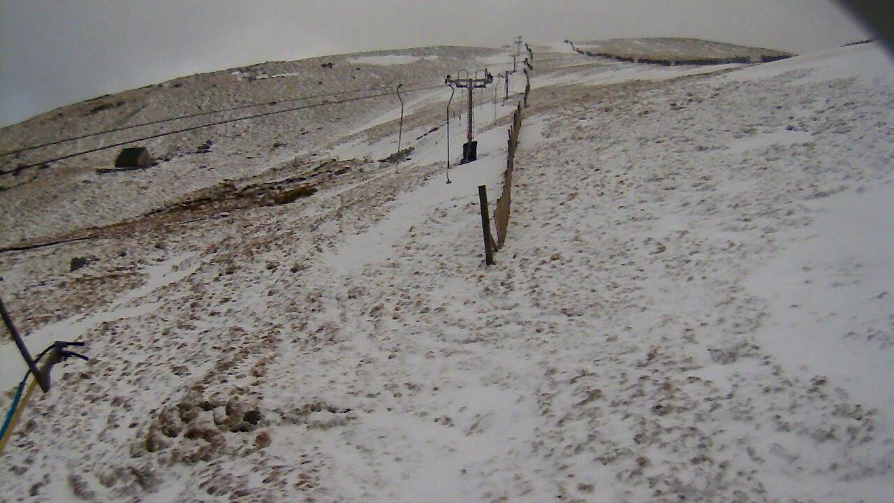 Image from 2022/02/24 for Tow Hut