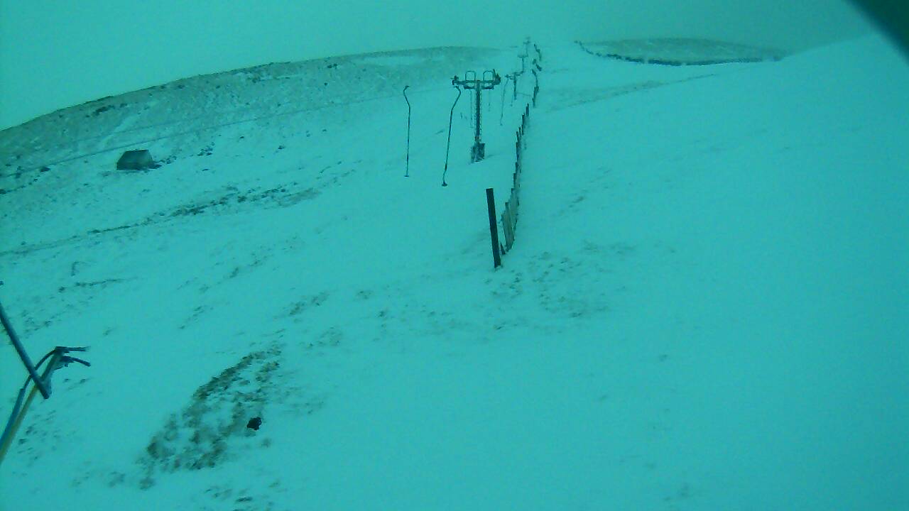 Image from 2022/02/25 for Tow Hut