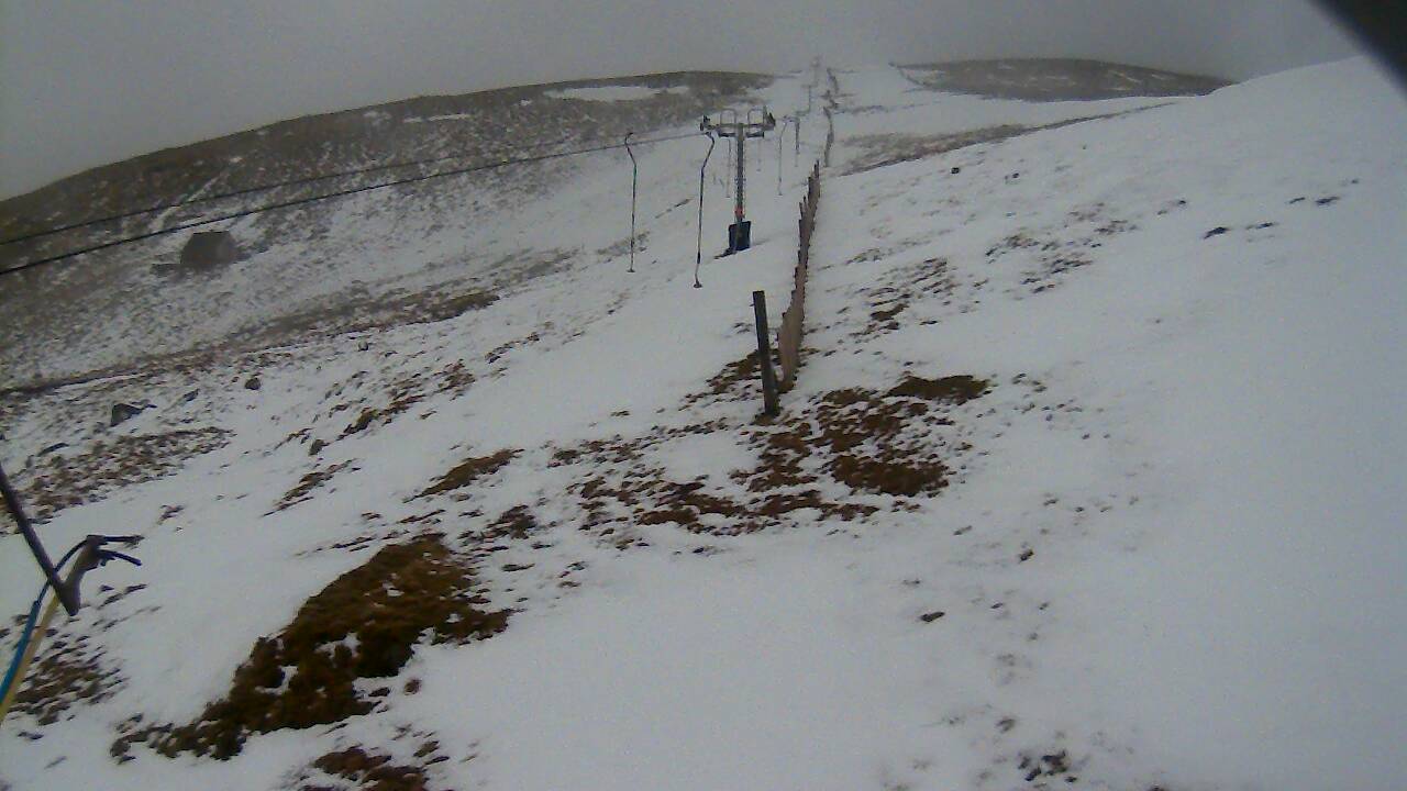 Image from 2022/02/26 for Tow Hut