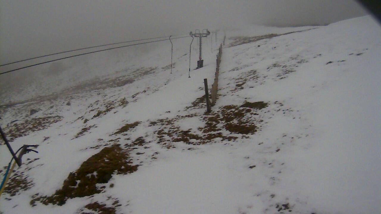 Image from 2022/02/26 for Tow Hut