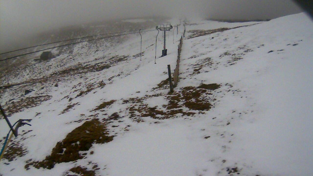 Image from 2022/02/26 for Tow Hut