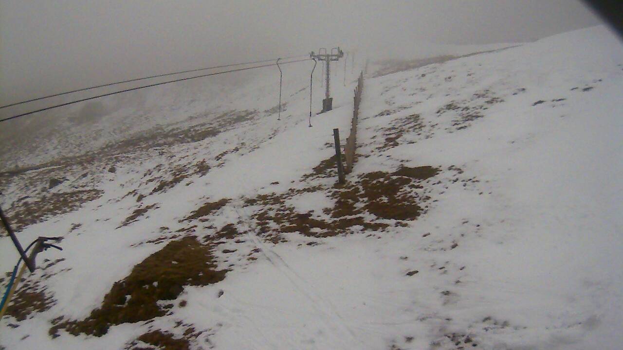 Image from 2022/02/26 for Tow Hut