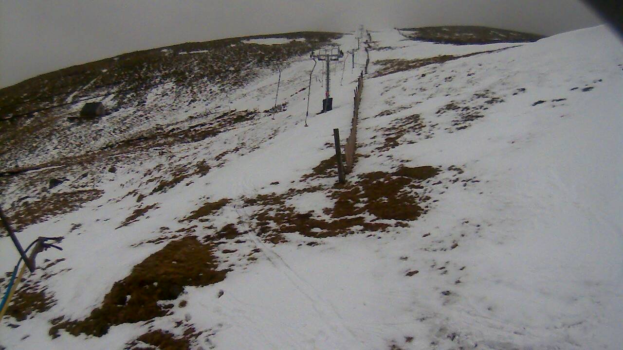 Image from 2022/02/26 for Tow Hut