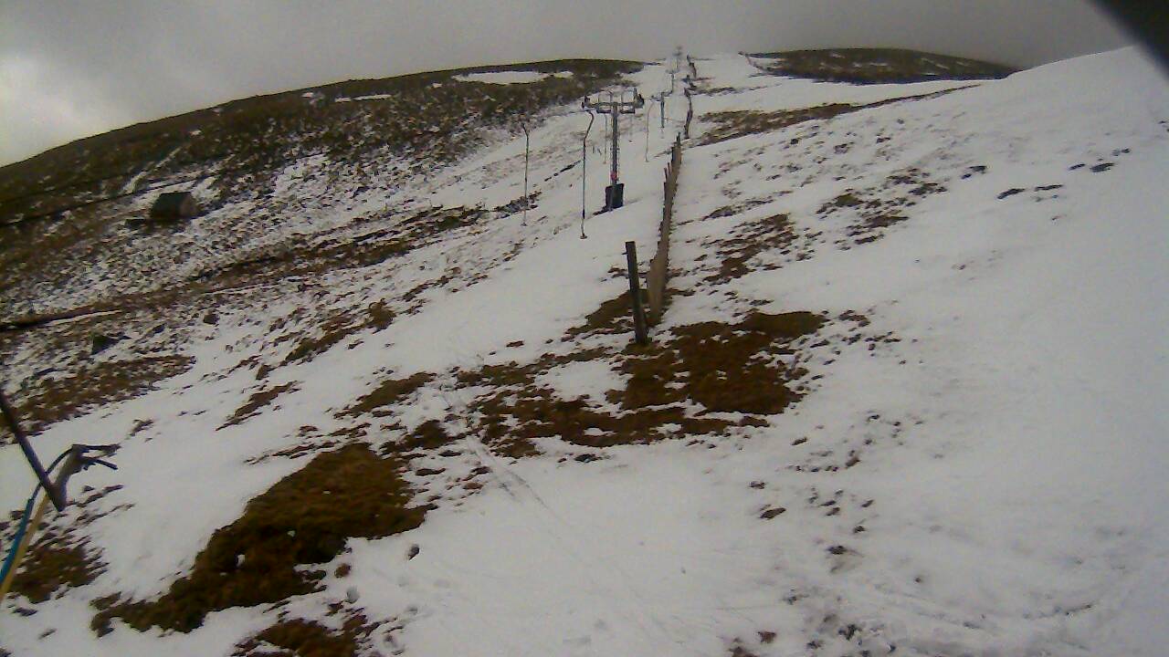 Image from 2022/02/26 for Tow Hut