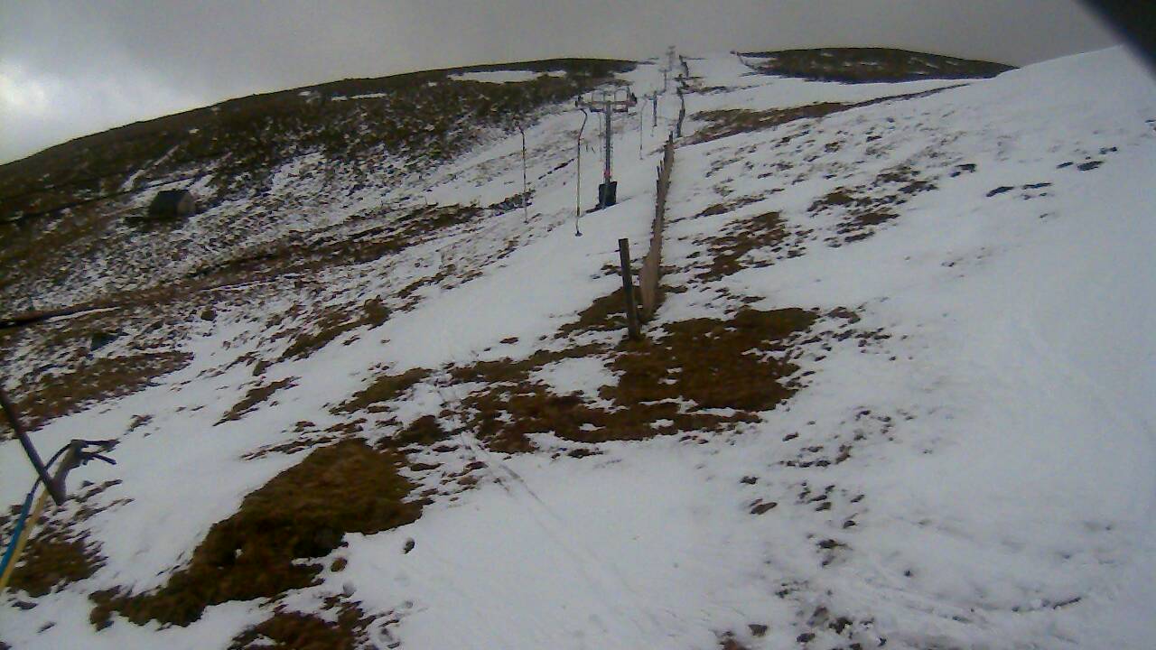 Image from 2022/02/26 for Tow Hut