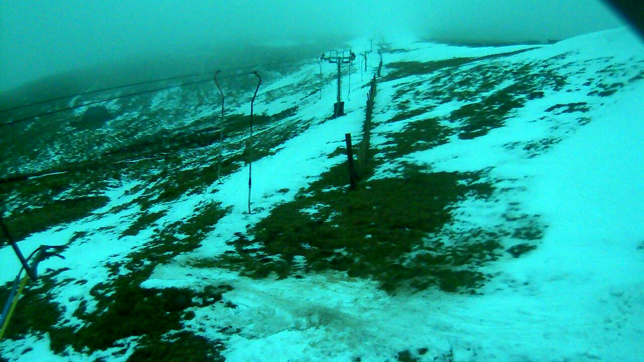 Image from 2022/02/28 for Tow Hut