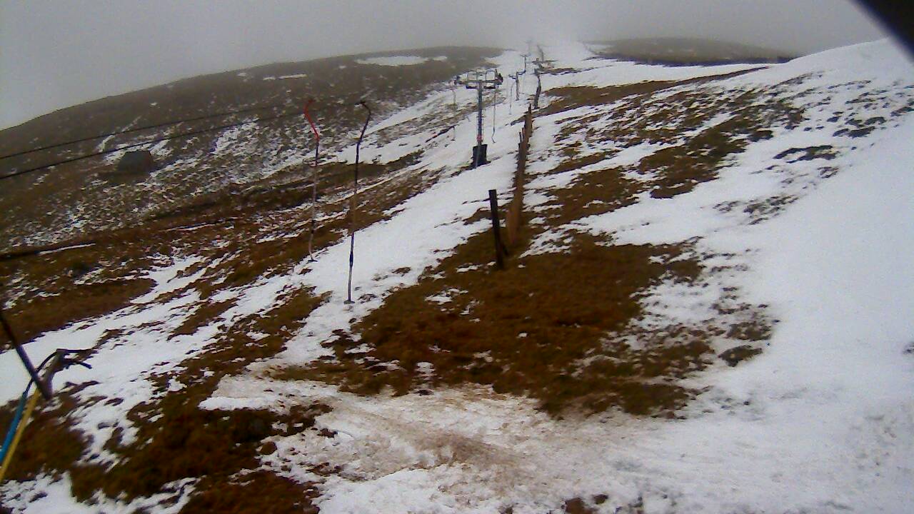 Image from 2022/02/28 for Tow Hut