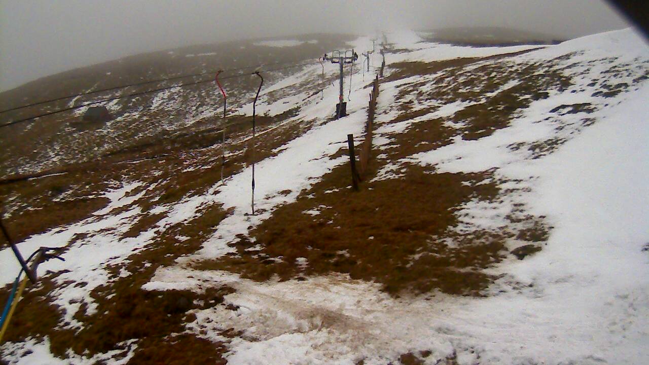 Image from 2022/02/28 for Tow Hut