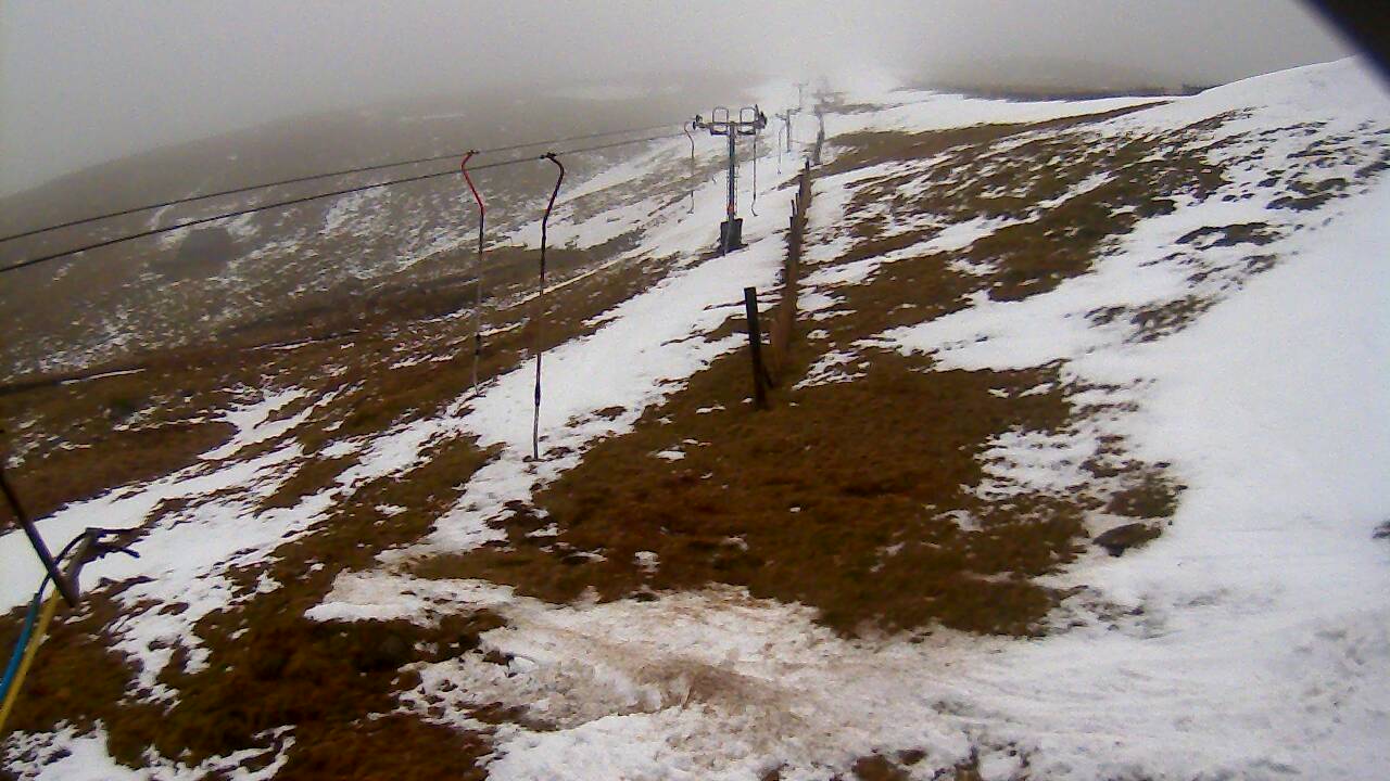 Image from 2022/02/28 for Tow Hut