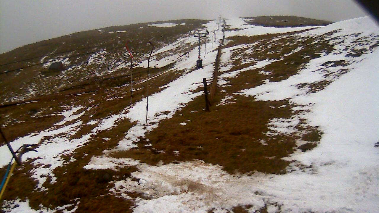 Image from 2022/02/28 for Tow Hut