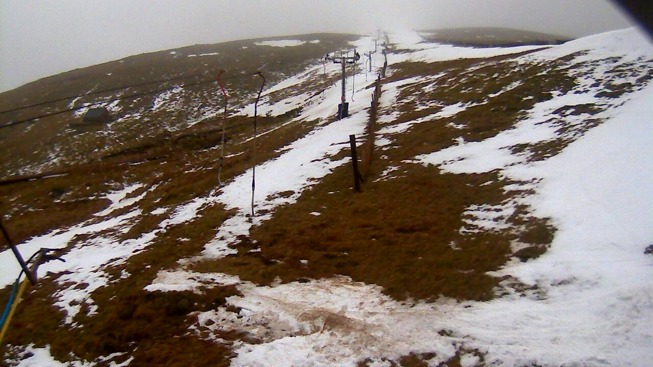 Image from 2022/02/28 for Tow Hut