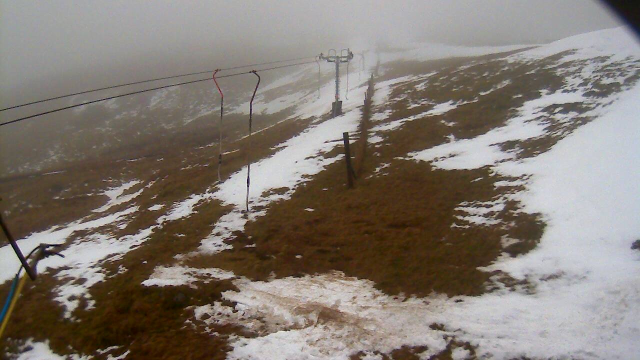 Image from 2022/02/28 for Tow Hut