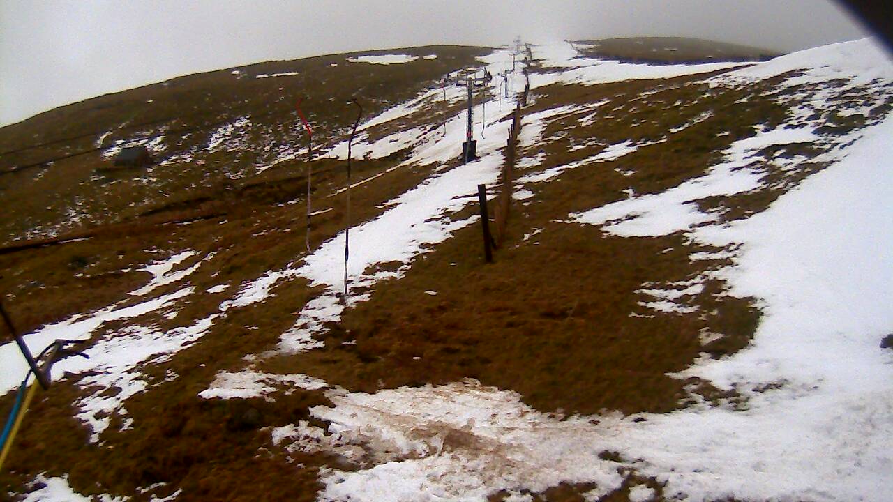 Image from 2022/02/28 for Tow Hut